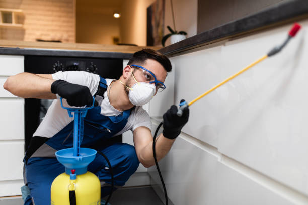 Best Local Pest Control Services  in Glenmoor, OH