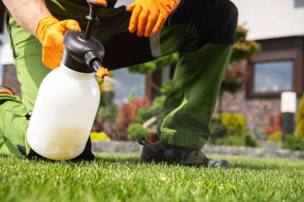 Reliable Glenmoor, OH Pest Control Solutions