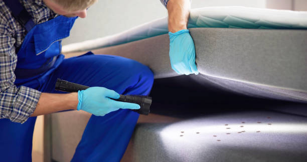 Best Affordable Pest Control Services  in Glenmoor, OH